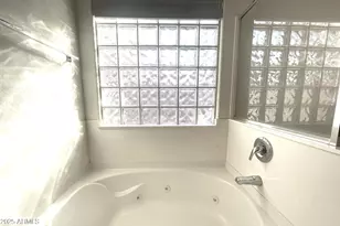 367 W Holstein Trail, San Tan Valley, AZ 85143 - Photo 19