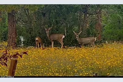 1220 E Caribou Road, Munds Park, AZ 86017 - Photo 37