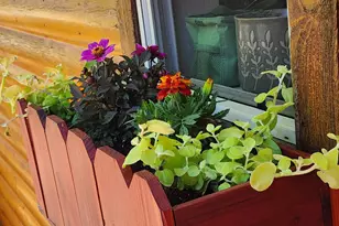 1220 E Caribou Rd, Munds Park, AZ 86017 - Photo 35