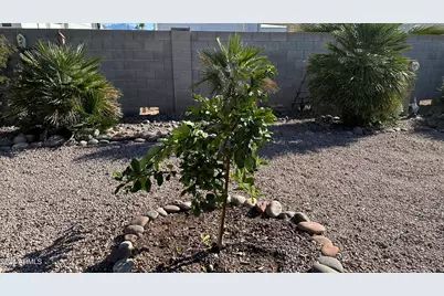 834 S Meridian Road #105, Apache Junction, AZ 85120 - Photo 41