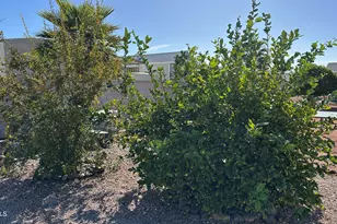 834 S Meridian Rd, Apache Junction, AZ 85120 - Photo 21