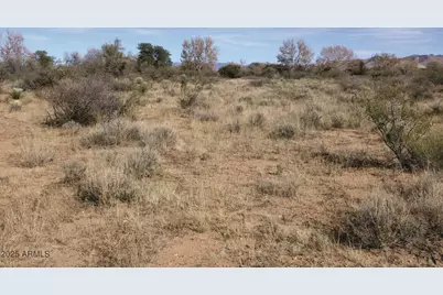 10 Acres E Roadrunner Lot D Lane #D, Pearce, AZ 85625 - Photo 29