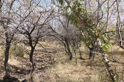 10 Acres E Roadrunner Lot E Lane #D, Pearce, AZ 85625 - Photo 3