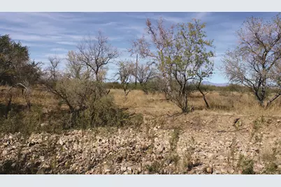 10 Acres E Roadrunner Lot E Lane #D, Pearce, AZ 85625 - Photo 35