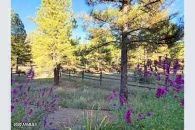 550 E Hattie Greene --, Flagstaff, AZ 86001 - Photo 59