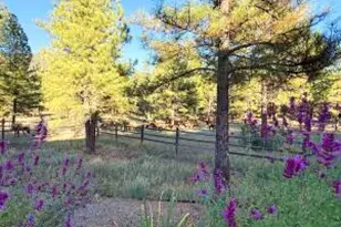 550 E Hattie Greene, Flagstaff, AZ 86001 - Photo 59