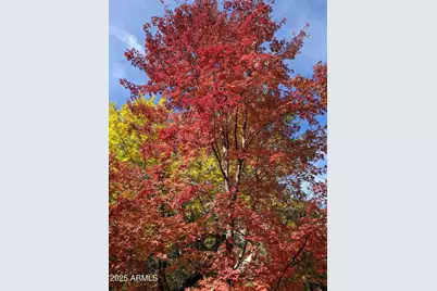 8351 N State Route 89A -- #33, Sedona, AZ 86336 - Photo 31