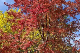 8351 N State Rte 89A, Sedona, AZ 86336 - Photo 31