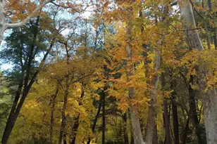 8351 N State Rte 89A, Sedona, AZ 86336 - Photo 35