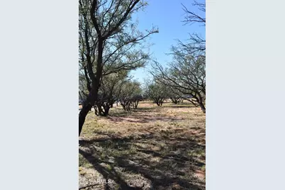 8680 E Mustang Trail, Hereford, AZ 85615 - Photo 85