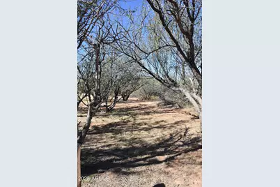8680 E Mustang Trail, Hereford, AZ 85615 - Photo 83