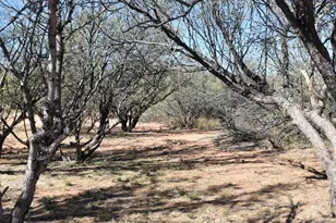 8680 E Mustang Trail, Hereford, AZ 85615 - Photo 83