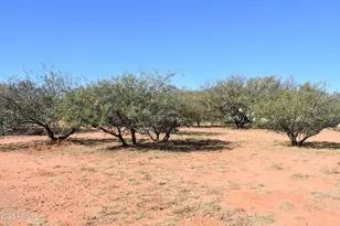 8680 E Mustang Trail, Hereford, AZ 85615 - Photo 13