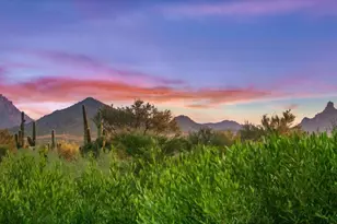 36483 N 101st Way, Scottsdale, AZ 85262 - Photo 65