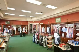 9342 E Coopers Hawk Dr, Sun Lakes, AZ 85248 - Photo 79