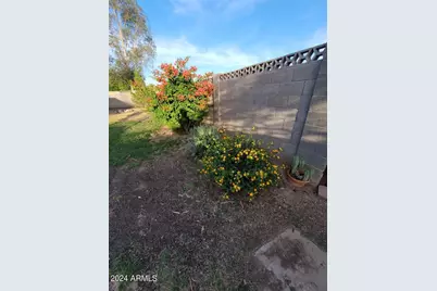 1341 W Shannon Street, Chandler, AZ 85224 - Photo 3