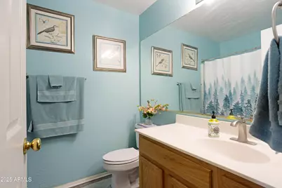 4327 E Meadow Land Drive, San Tan Valley, AZ 85140 - Photo 25