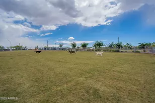 39531 N White Tail Ln, Anthem, AZ 85086 - Photo 15