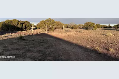 Tbd Cr 8051 -- #-, Concho, AZ 85924 - Photo 3
