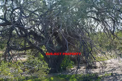 2 Acres E Ocotillo (No Address) Road #-, Buckeye, AZ 85396 - Photo 9