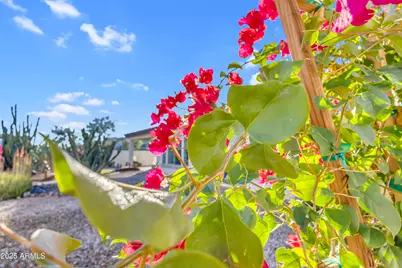 3690 E Canyon Way, Chandler, AZ 85249 - Photo 83