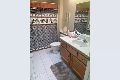 13034 W Peach Blossom Drive, Sun City West, AZ 85375 - Photo 21