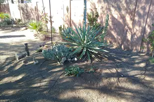 11052 W Meade Dr, Sun City, AZ 85351 - Photo 47