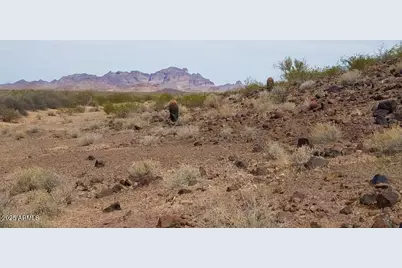 12401 S 451st Avenue #-, Tonopah, AZ 85354 - Photo 13