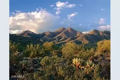 10966 E Palm Ridge Drive, Scottsdale, AZ 85255 - Photo 51