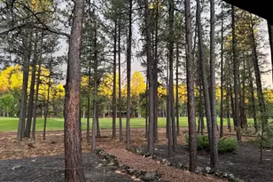 7451 Buck Springs Rd, Pinetop, AZ 85935 - Photo 35