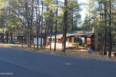 901 N 46th Drive, Show Low, AZ 85901 - Photo 3