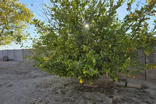 727 W Zion Ln, San Tan Valley, AZ 85143 - Photo 51