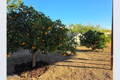 727 W Zion Lane, San Tan Valley, AZ 85143 - Photo 49