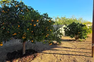 727 W Zion Ln, San Tan Valley, AZ 85143 - Photo 49