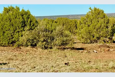Tbd Mustang Ln Lot D & E 4.8 Acres -- #-, Show Low, AZ 85901 - Photo 11