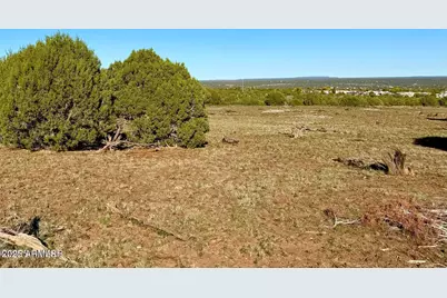 Tbd Mustang Ln Lot D & E 4.8 Acres -- #-, Show Low, AZ 85901 - Photo 17