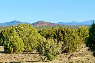 Tbd Mustang Ln Lot D & E 4 8 Acres --, Show Low, AZ 85901 - Photo 1