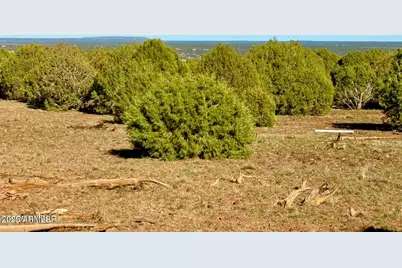 Tbd Mustang Ln Lot D & E 4.8 Acres -- #-, Show Low, AZ 85901 - Photo 21