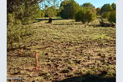 Tbd Mustang Ln Lots F & H 5.5 Acre -- #-, Show Low, AZ 85901 - Photo 9