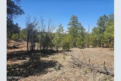 3662 Sunset Ridge Loop #143, Happy Jack, AZ 86024 - Photo 5