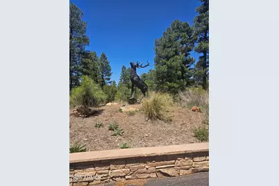 3662 Sunset Ridge Loop #143, Happy Jack, AZ 86024 - Photo 3