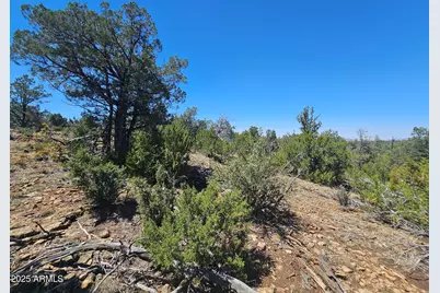 3662 Sunset Ridge Loop #143, Happy Jack, AZ 86024 - Photo 7