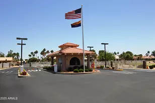 25232 S Flame Tree Dr, Sun Lakes, AZ 85248 - Photo 39