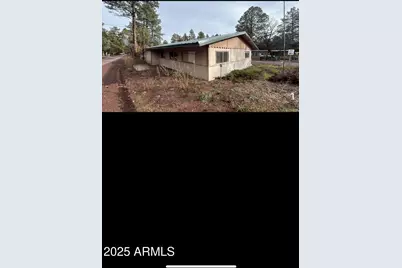 4951 Woodland Parkway, Lakeside, AZ 85929 - Photo 3