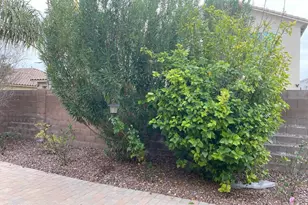 2757 E Powell Way, Gilbert, AZ 85298 - Photo 29