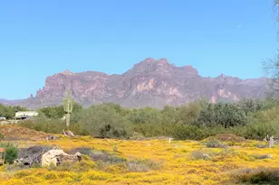 1225 N San Marcos Dr, Apache Junction, AZ 85120 - Photo 13