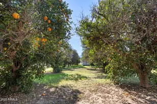 17525 E Regal Dr, Queen Creek, AZ 85142 - Photo 69