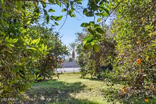 17525 E Regal Dr, Queen Creek, AZ 85142 - Photo 77