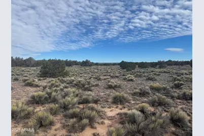 Lot 338 Sierra Highlands Ranch -- #338, Saint Johns, AZ 85936 - Photo 7