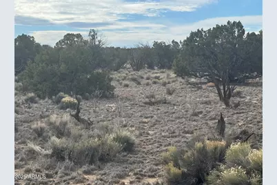 Lot 338 Sierra Highlands Ranch -- #338, Saint Johns, AZ 85936 - Photo 1